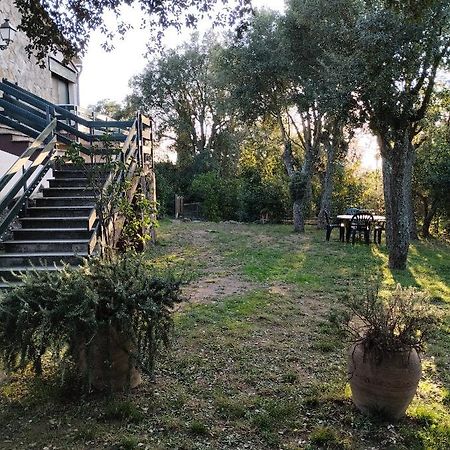 Romanyá de la Selva Casa De Camp Prop De La Costa Brava 빌라 외부 사진
