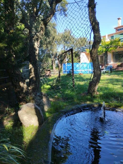 Romanyá de la Selva Casa De Camp Prop De La Costa Brava 빌라 외부 사진