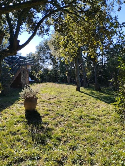 Romanyá de la Selva Casa De Camp Prop De La Costa Brava 빌라 외부 사진